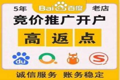 百度推广案例：关键词优化与品牌推广