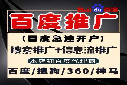 网络推广与竞价优化成功案例